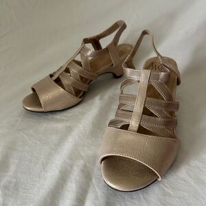 Evening Shoes